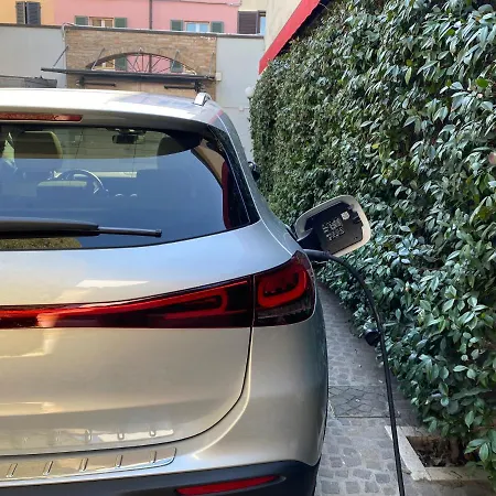 Noctis Oda ve Kahvaltı