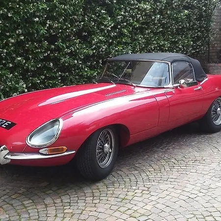 Noctis Oda ve Kahvaltı